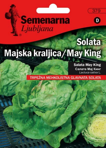 Seme 5 kesica - Zelena salata majska kraljica - Lactuca sativa L. 379