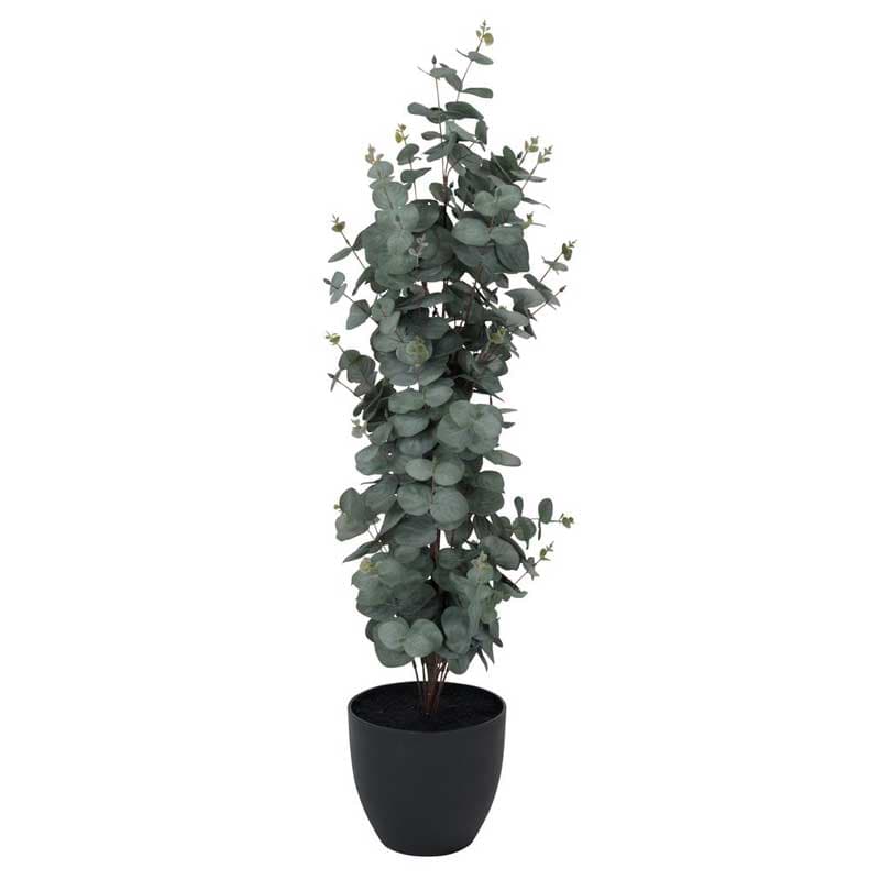 Veštačka biljka Eukaliptus 90cm