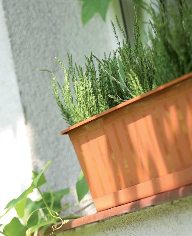 Balkonska žardinjera 50cm Prosperplast IS500-R624