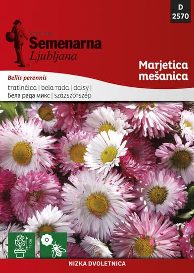 Seme za cveće Bela Rada - mešavina - Bellis perennis 2570