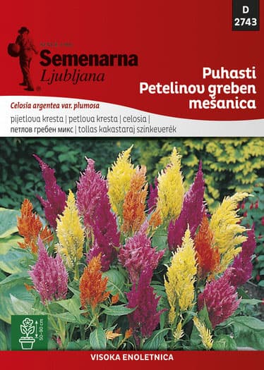 Cveće Petlova kresta paperjasta - mešavina - seme Celosia argentea var. plumosa 2743