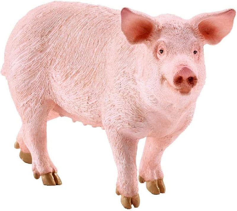 Schleich figure Domaće životinje - Svinja - krmača 13782P