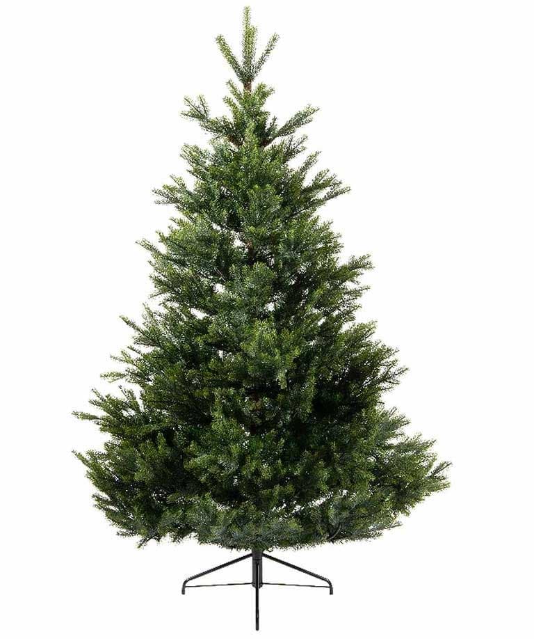 Novogodišnja jelka Everlands Arlberg fir 210cm