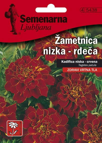 Seme za sadnju 5 kesica - cveće Kadifa niska - crvena -  Tagetes patula 5438
