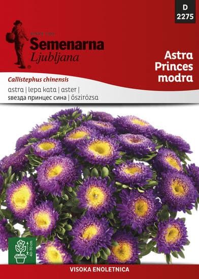 Seme 10 kesica Lepa Kata Princes - plava - Callistephus chinensis 2275