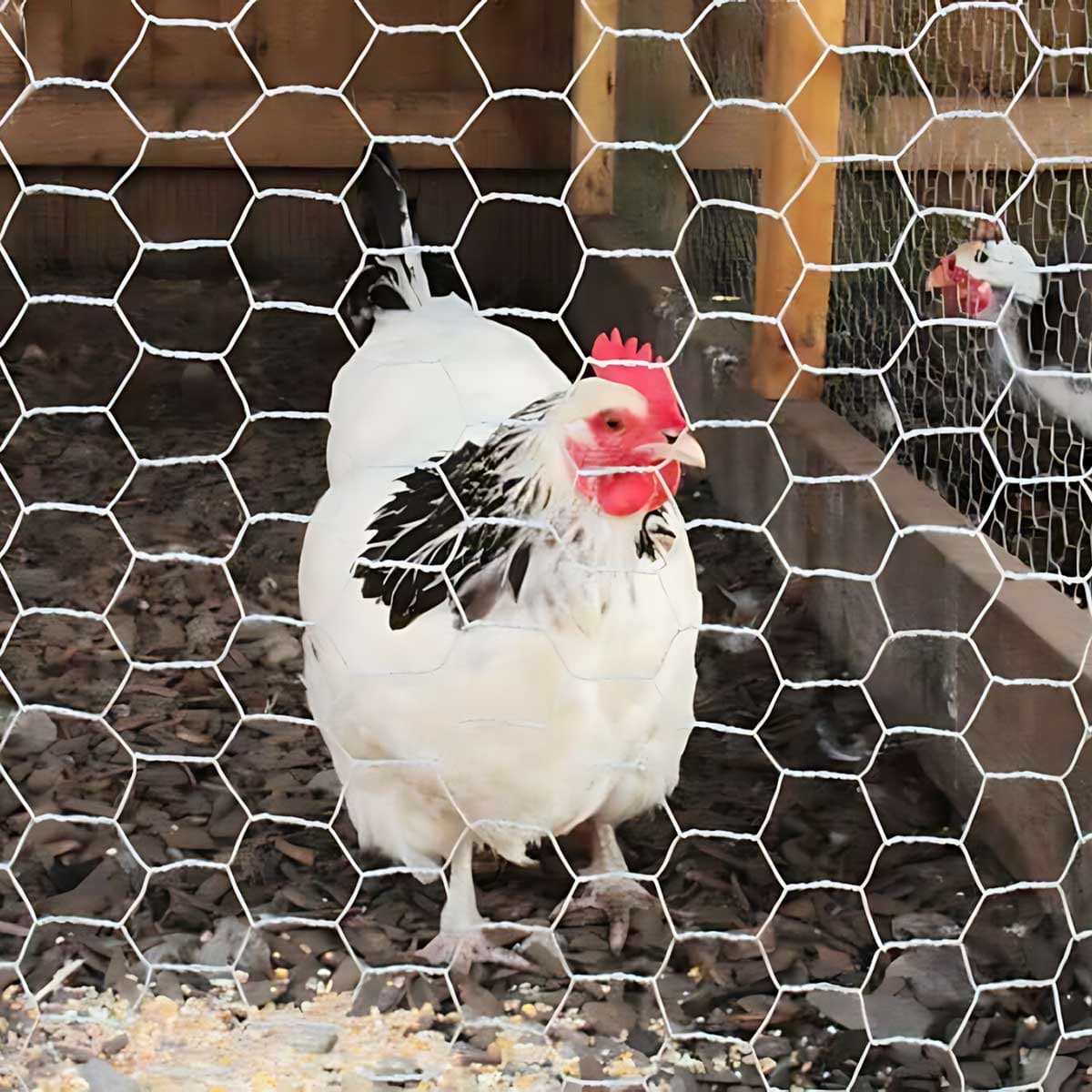 Žica za ograđivanje Heksagonalno pletivo pocinkovano Okce 20 mm Rolna 25 x 1 m