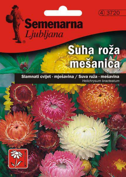 Seme za cveće 5 kesica Suva ruža - mešavina - Helichrysum bracteatum 3720