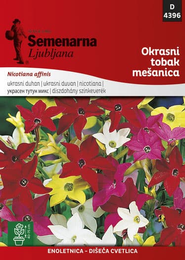 Seme za cveće 5 kesica Ukrasni duvan - mešavina - Nicotiana affinis 4396