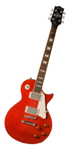 Jay Turser AMS-JT-220D-TR Električna gitara