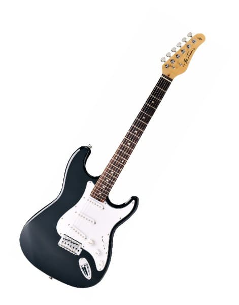 Jay Turser AMS JT 300M BK električna gitara