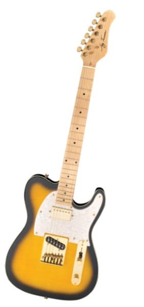 Jay Turser LT CUSTOMDLX ANS električna gitara