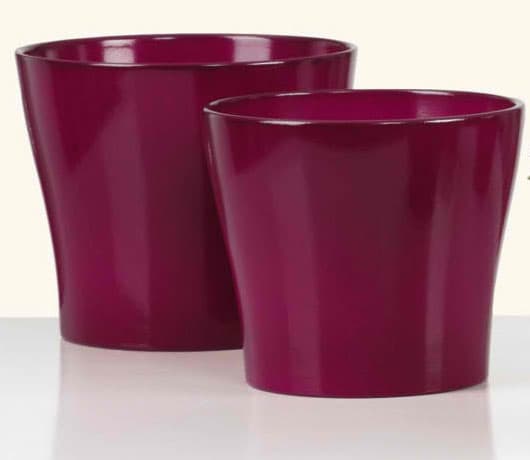 Scheurich saksija Wild Berries 808/19 SH 49861