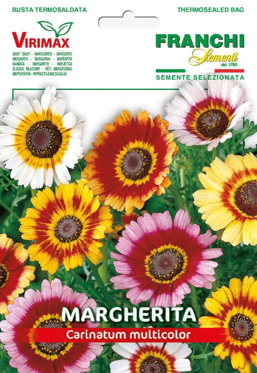 Seme 5 kesica za cveće Ivančica - Trobojna Margareta Franchi Sementi Virimax