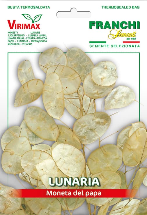 Lunarija - seme za cveće 5 kesica Franchi Sementi Virimax