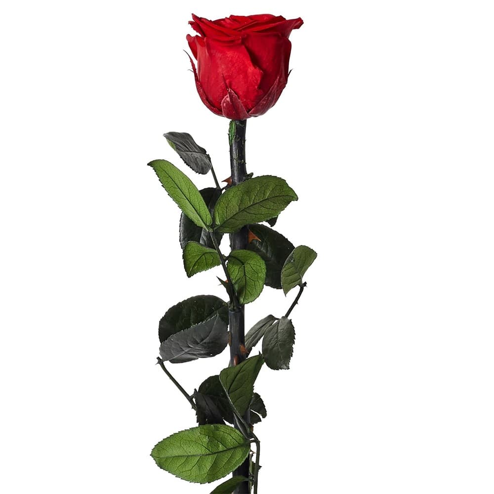 Veštačka ruža 30cm