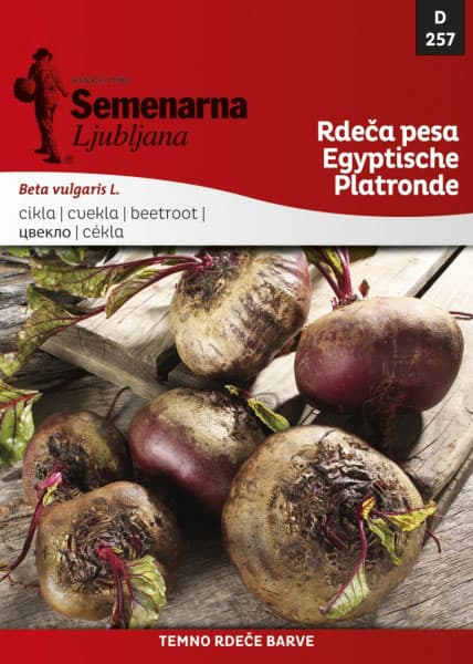 Seme 10 kesica - Cvekla egipatska - Beta vulgaris L. var. conditiva 257