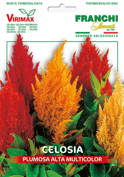 Cveće Perjanica - seme 5 kesica Franchi Sementi Virimax
