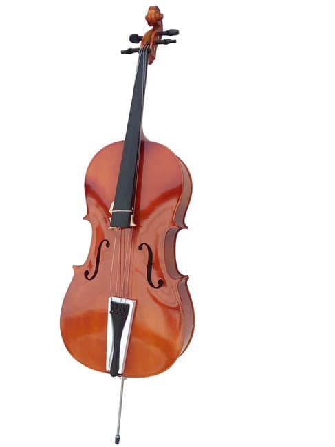 Violončelo Moller 3/4-4/2 1129