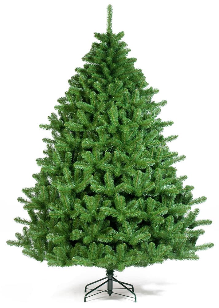Jelka Visine 300 cm - Norway Spruce