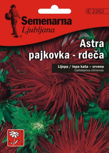 Seme Lepa Kata igličasta - crvena - Callistephus chinensis spider 2262