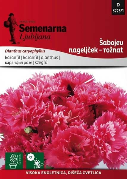 Seme za Karanfil  šabo - pink - Dianthus caryophyllus 3225/1