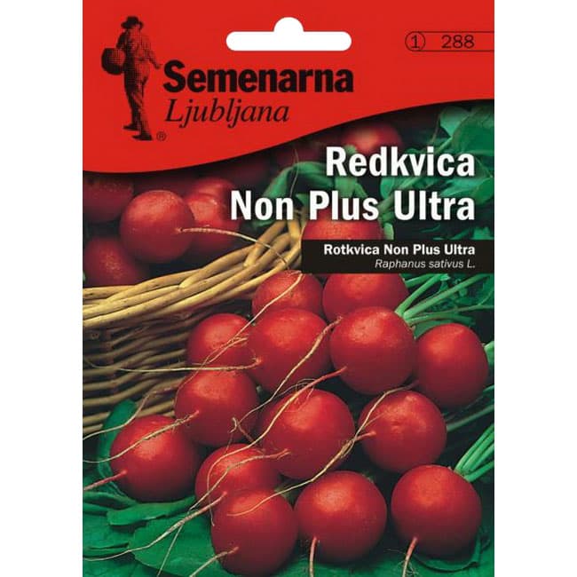 Seme - Rotkvice Non plus ultra - Raphanus sativus var. sativus 288