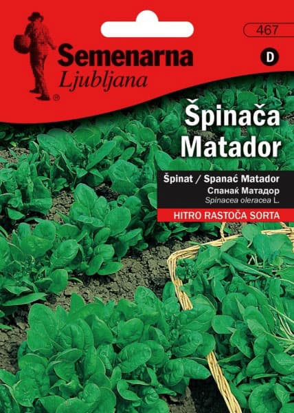 Seme - Spanać matador  -  Spinacea oleracea L. 467