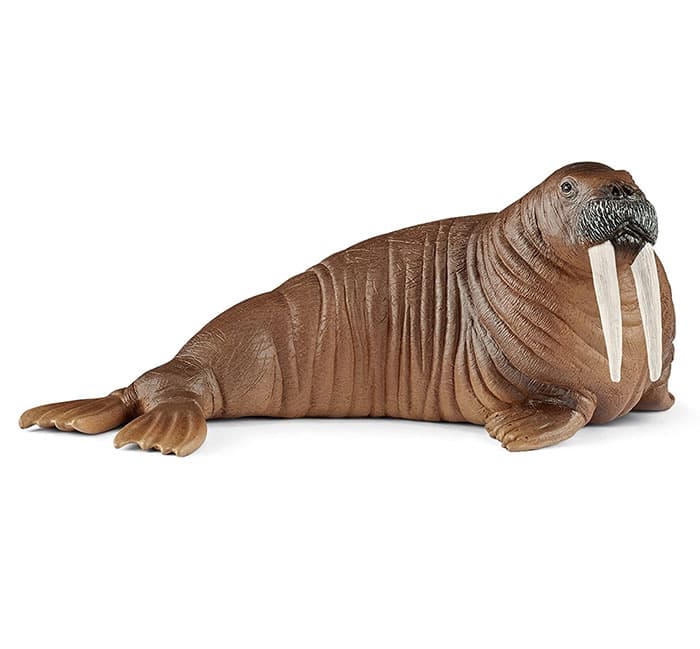 Schleich Figure Divlje životinje - Morž 14803