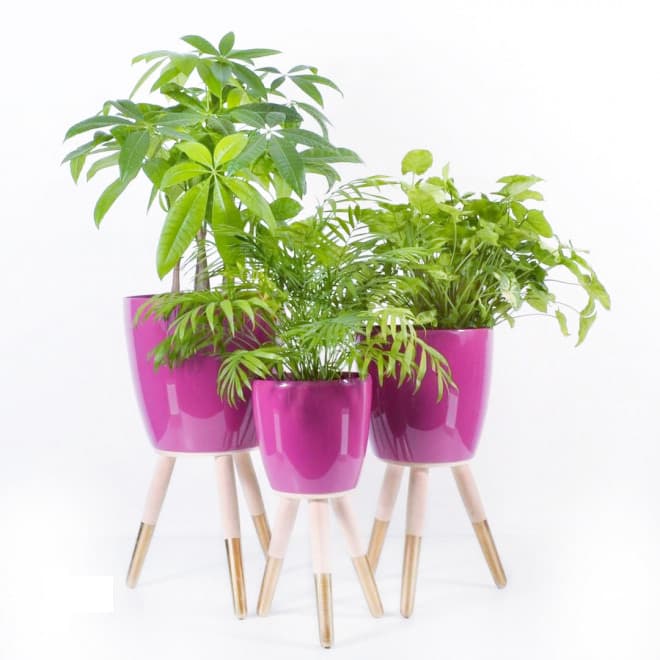 Drveni zlatno-beli stalak sa roze saksijom 20cm