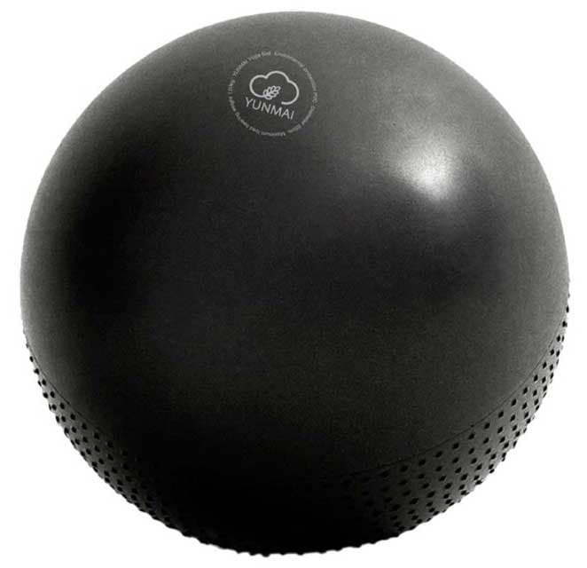 Yunmai Lopta za pilates 65cm YMYB-P201 Crna