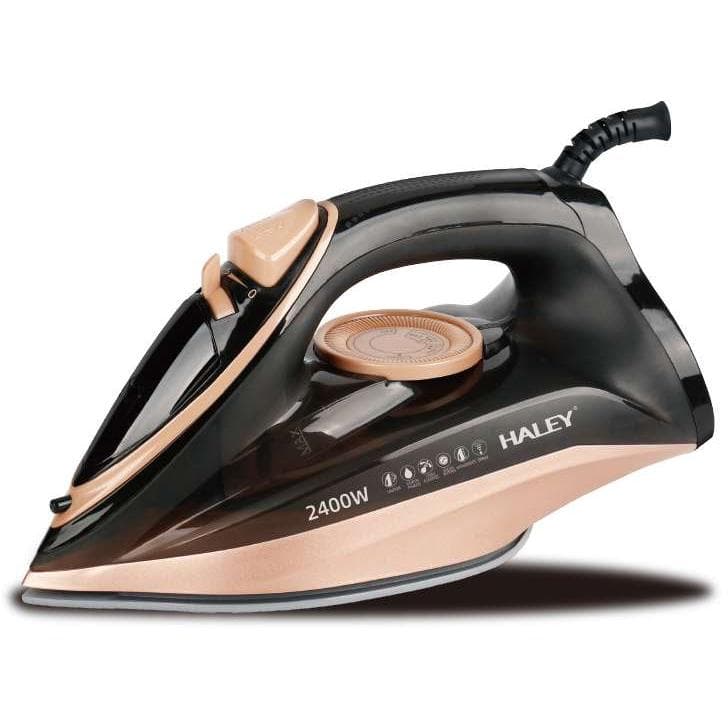 Haley Pegla na paru 2400W HY2084
