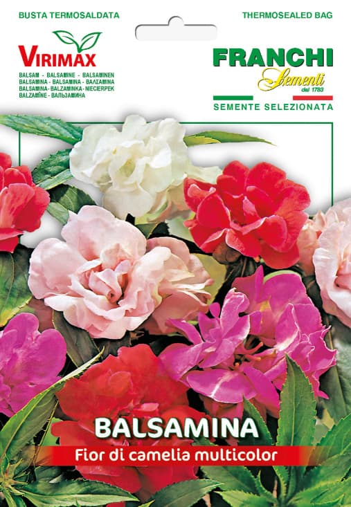 Seme za cveće Blazamina kamelija mešavina 10 kesica Franchi Sementi Virimax