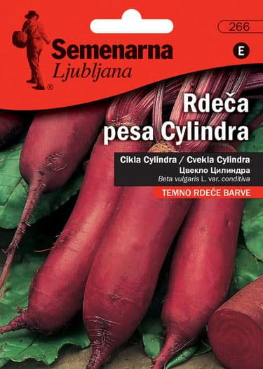 Seme - Cvekla cilindra - Beta vulgaris L. var. conditiva 266