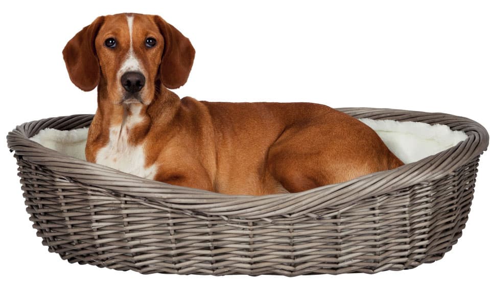 Korpa za spavanje za pse 80cm - sa jastukom - Trixie 28204