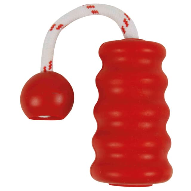 Trixie Igračka za pse - Aport za vodu Mot-Fun assorted 3236