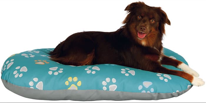 Jastuk za psa Jimmy turquoise 80cm Trixie 37346